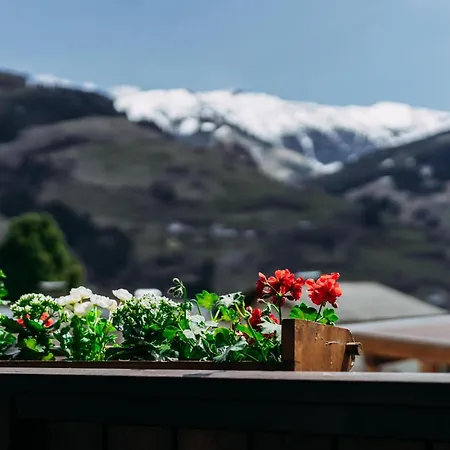 Apartament Golden Geier *