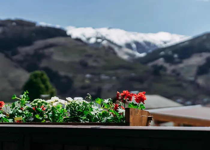 Apartament Golden Geier *